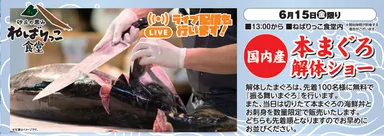 本マグロの解体ショー