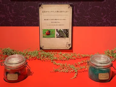 過去開催の様子