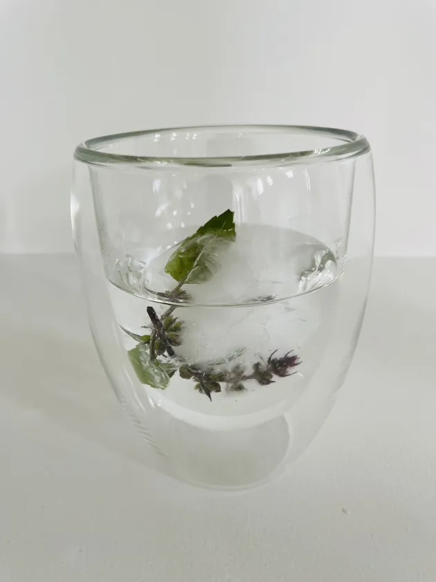 アイスホーリーバジルコーディアル