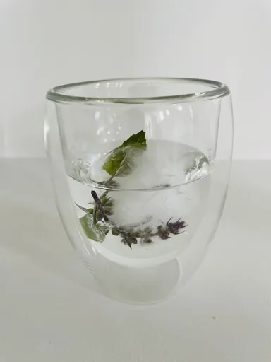 アイスホーリーバジルコーディアル