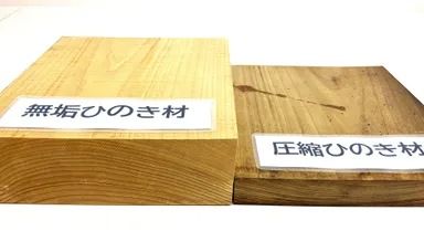 ヒノキ材を圧縮加工