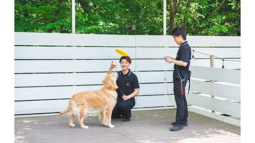 プロドッグトレーナー