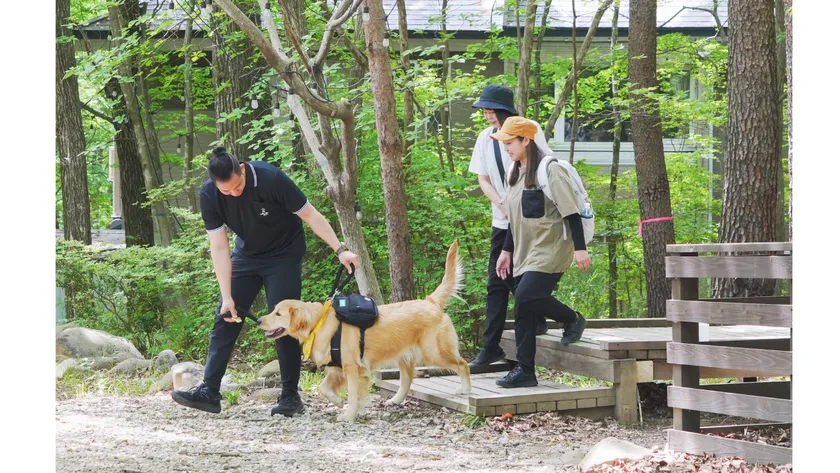 いつもワンちゃん目線で