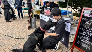 わんちゃんの気持ち優先