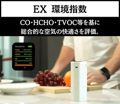 EX環境指数