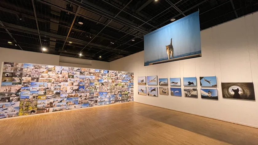 過去の展示の様子(宝塚市立文化芸術センター)1
