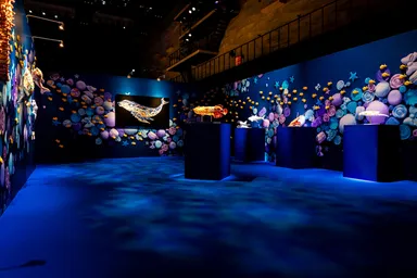 15mのお菓子の水族館