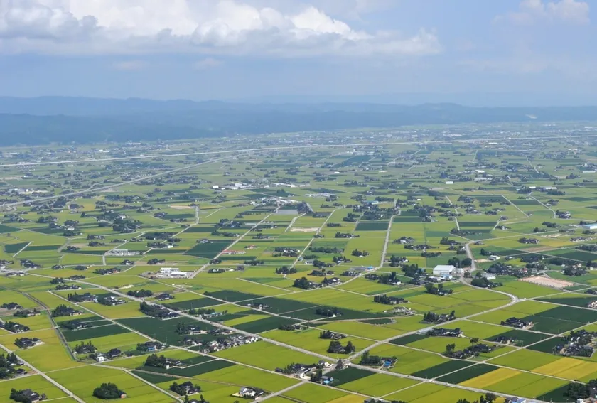 砺波平野の散居村