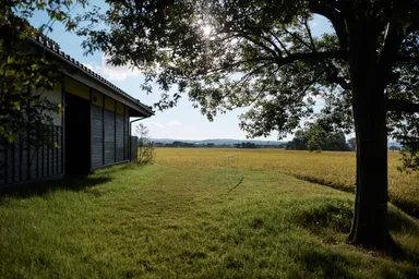 内藤礼「返礼」