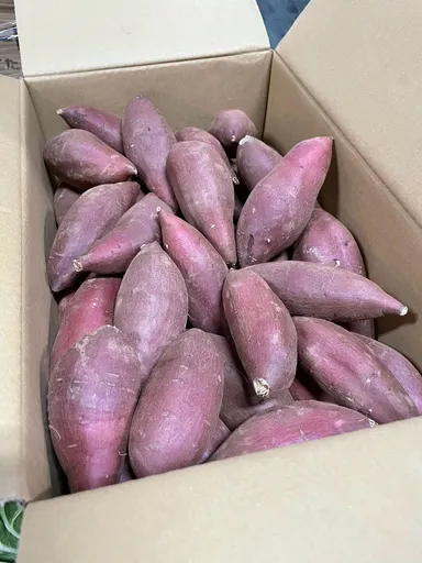 実際の規格外野菜(さつまいも)