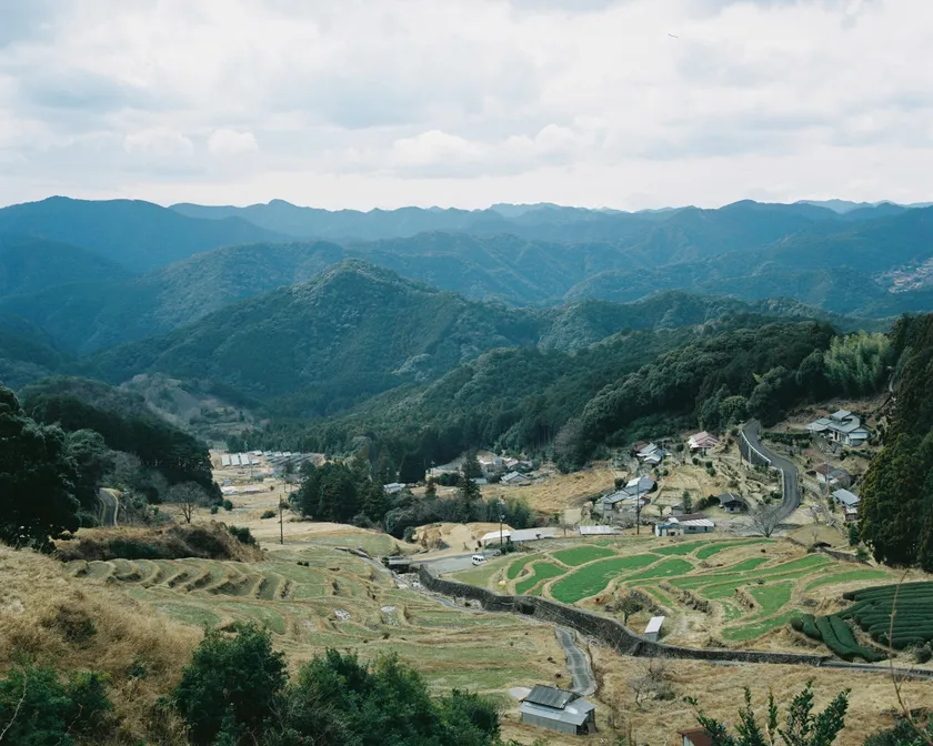 小阪の棚田の風景