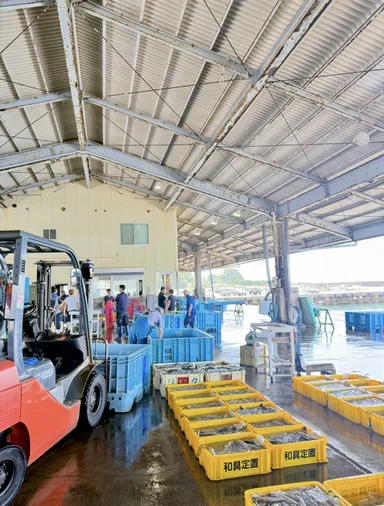 産地卸売市場(和具漁港)2