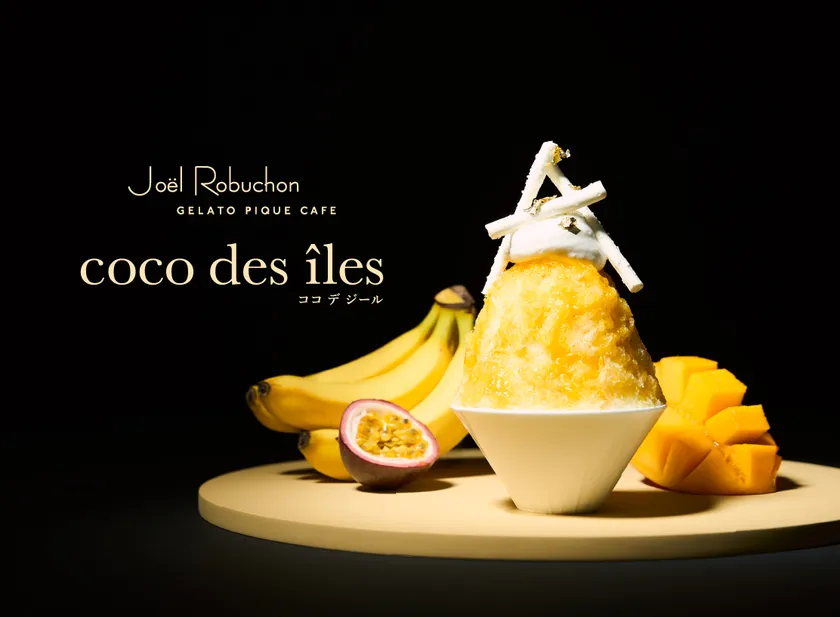 エキゾチックなトロピカルかき氷“coco des îles”(ココ デ ジール)