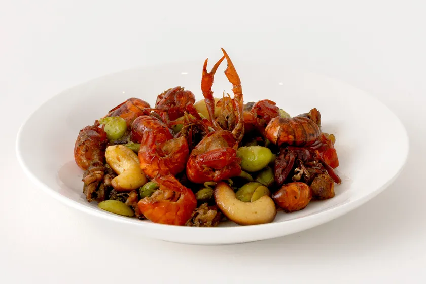 ガーリンクザリンプ(さかな芸人ハットリ)