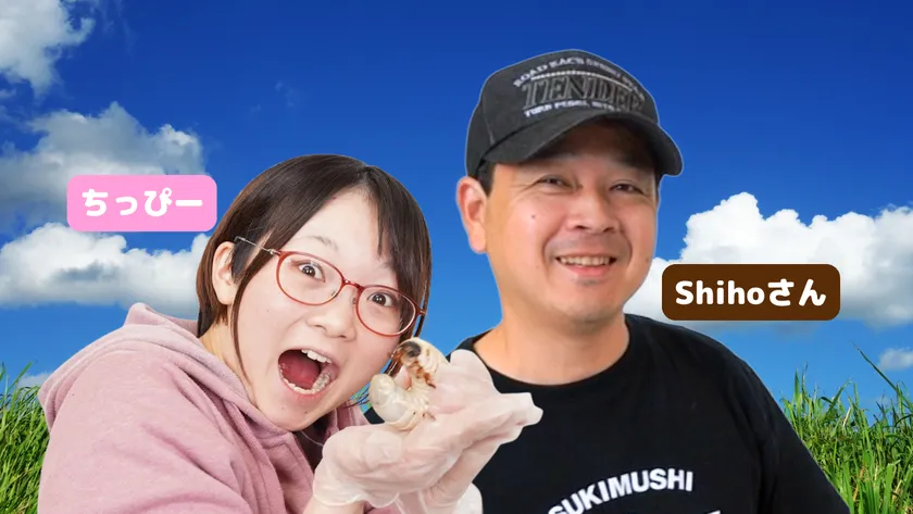 Shihoとちっぴー