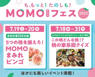 MOMOテラス_MOMOまみれフェス
