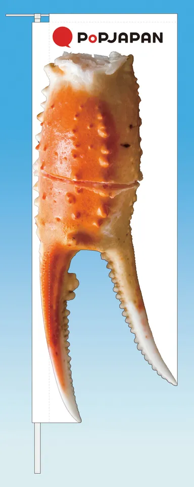 ボイルガニデザイン