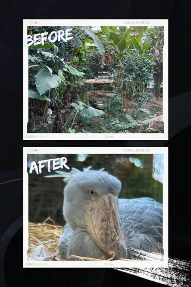 ビフォーアフター　4