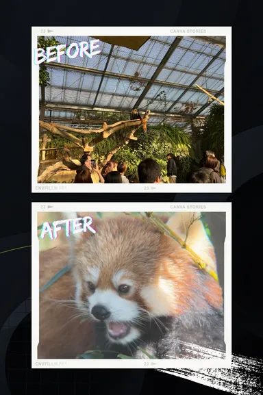 ビフォーアフター　5