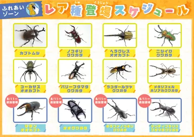 ふれあいゾーン レア種登場スケジュール