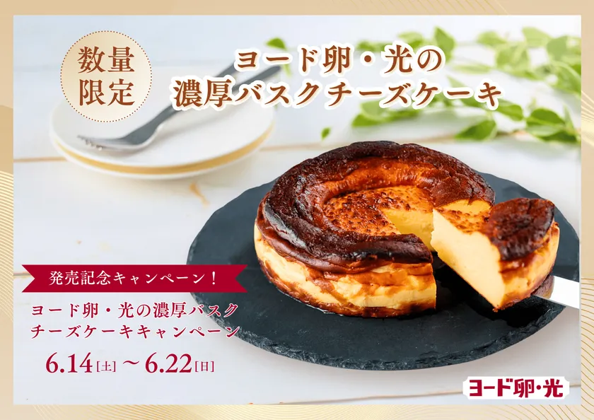 数量限定『ヨード卵・光の濃厚バスクチーズケーキ』