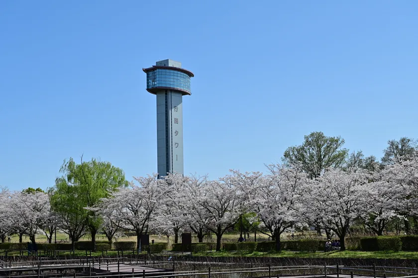 行田タワー イメージ