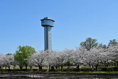 行田タワー　イメージ