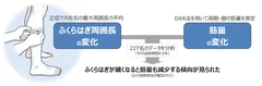 研究結果の概要