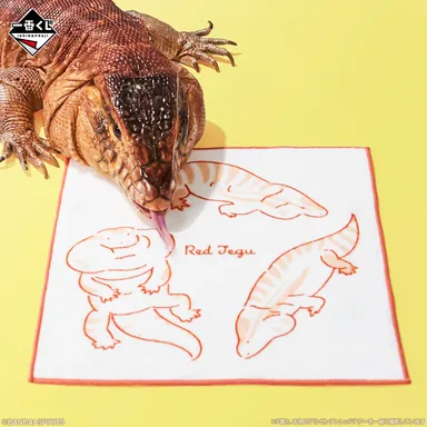 F賞：タオルコレクション(イメージ2)