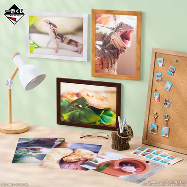 G賞：クリアファイル＆ステッカーセット(イメージ)