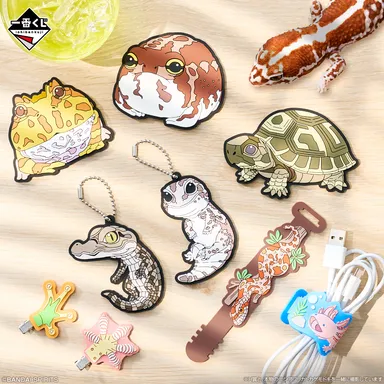 H賞：ラバーコレクション(イメージ)