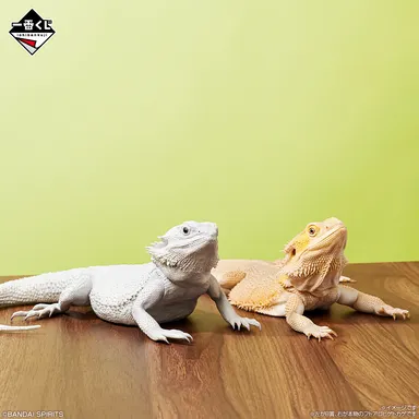 B賞：フトアゴヒゲトカゲ フィギュア ハイポゼロ(イメージ1)