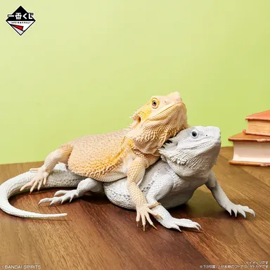 B賞：フトアゴヒゲトカゲ フィギュア ハイポゼロ(イメージ2)