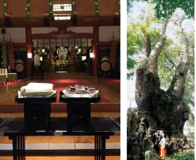 熱海の來宮神社