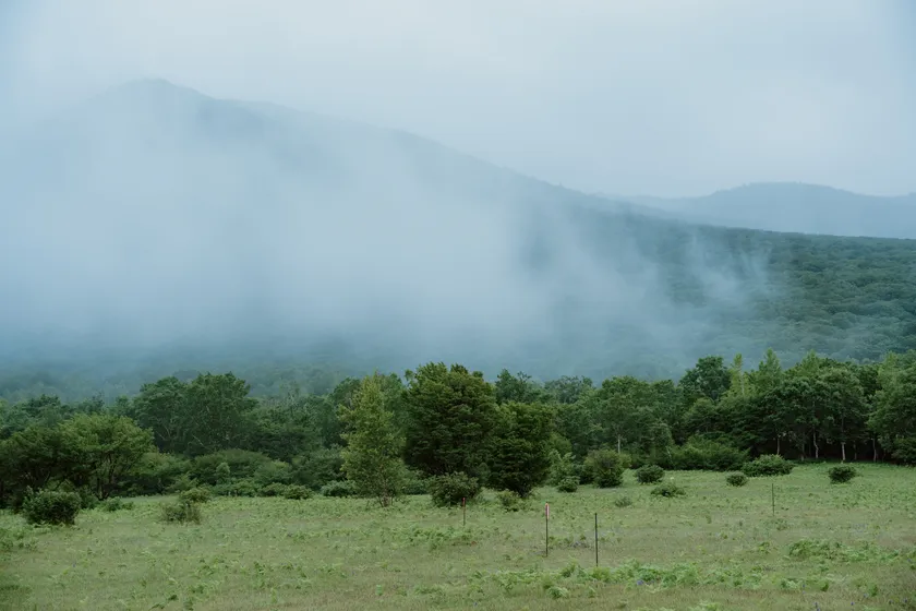 東北の高原