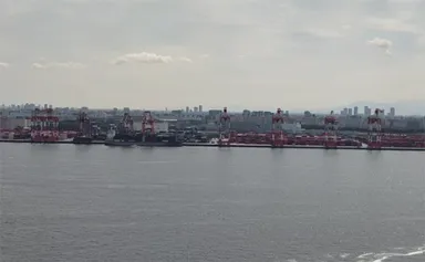 【1.6km先の対岸を等倍で撮影した画像】