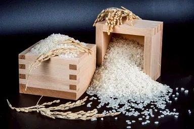 結亭で使用される南魚沼産コシヒカリ