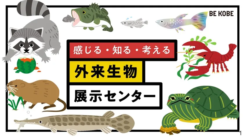 神戸市環境局自然環境課外来生物