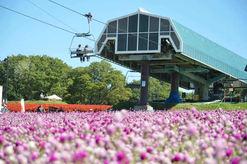 高原リフトで空中散歩