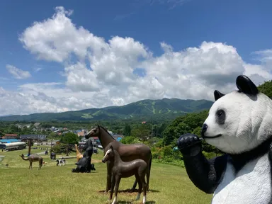 アニマルエリア