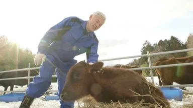 「原発20キロ圏内に生きる男　続編」(1)