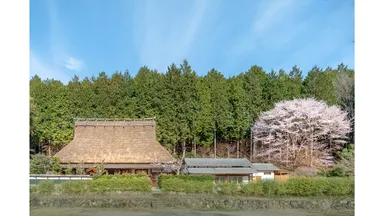 螢庵　新たに開業した茅葺一棟貸し(5)