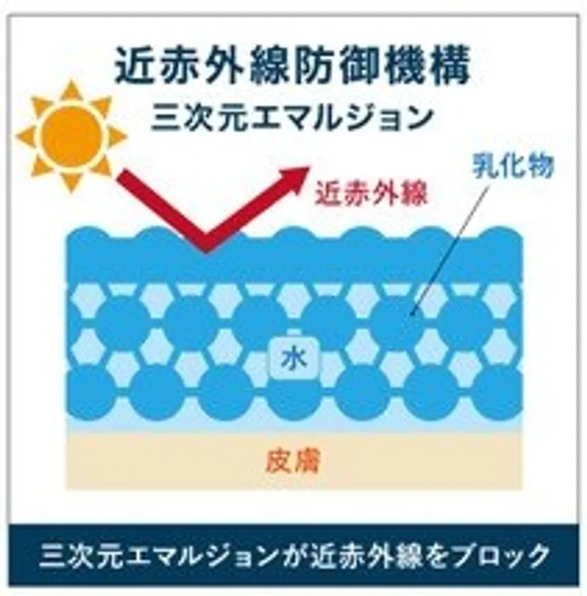 特許技術「三次元ネットワークエマルジョン」構造