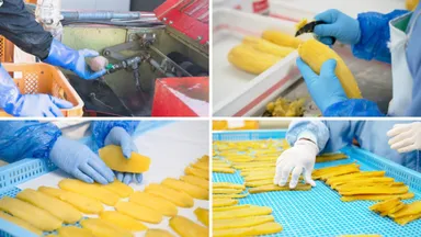 こだわりぬいたほしいぼー