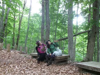 高姫伝説の峠道。三島町・間方のブナの木茂る「美女峠」で森林浴ウォーク。