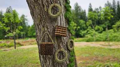 奥会津 三島町の工人さんに教わる、ヒロロとクルミを使った編み組細工体験