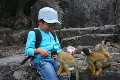 伊豆シャボテン公園(3)