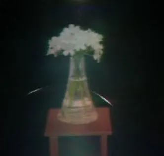 全方向視差ホログラム