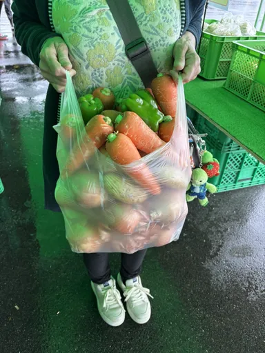 野菜詰め放題　※イメージ