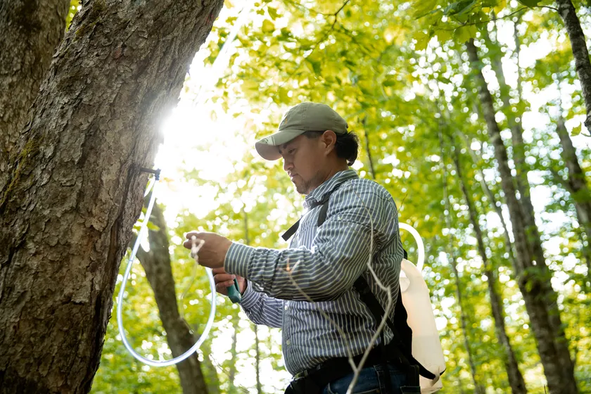 採取口を取り付ける生産者